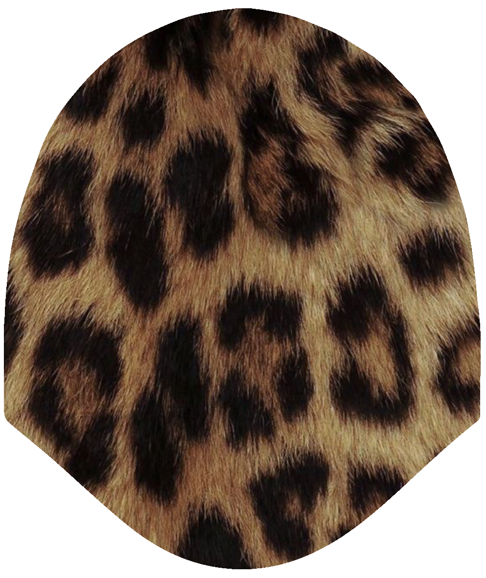 Teen - Cheetah Print Fierce & Fashionable Car Headrest Cover by HeadzRest