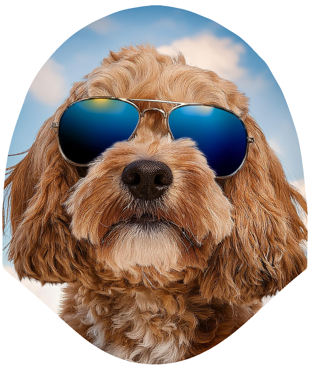 Cool Dog – Doodle Car Headrest Cover by HeadzRest