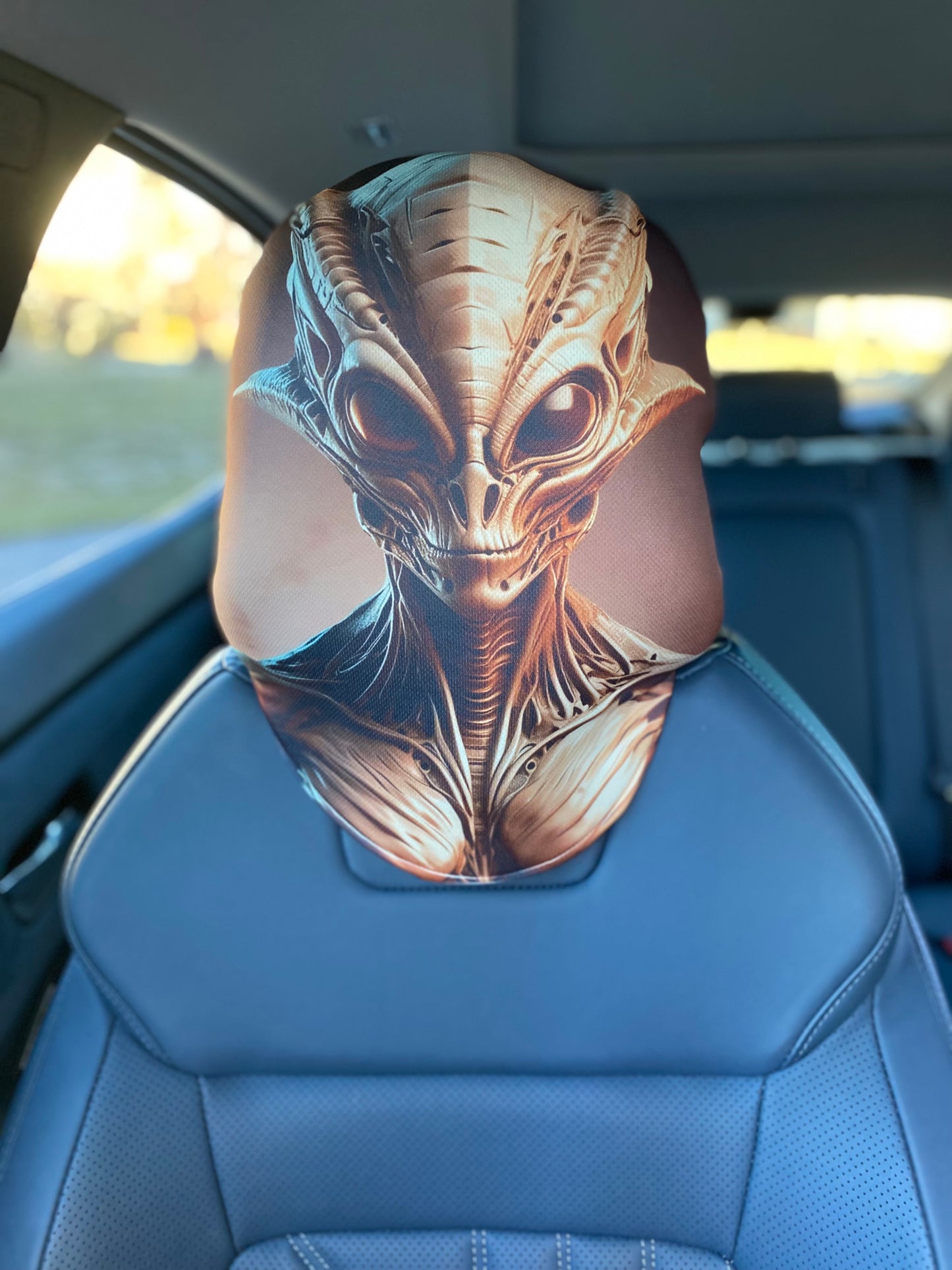 Galactic Guardian – Alien Warrior Car Headrest Cover by HeadzRest