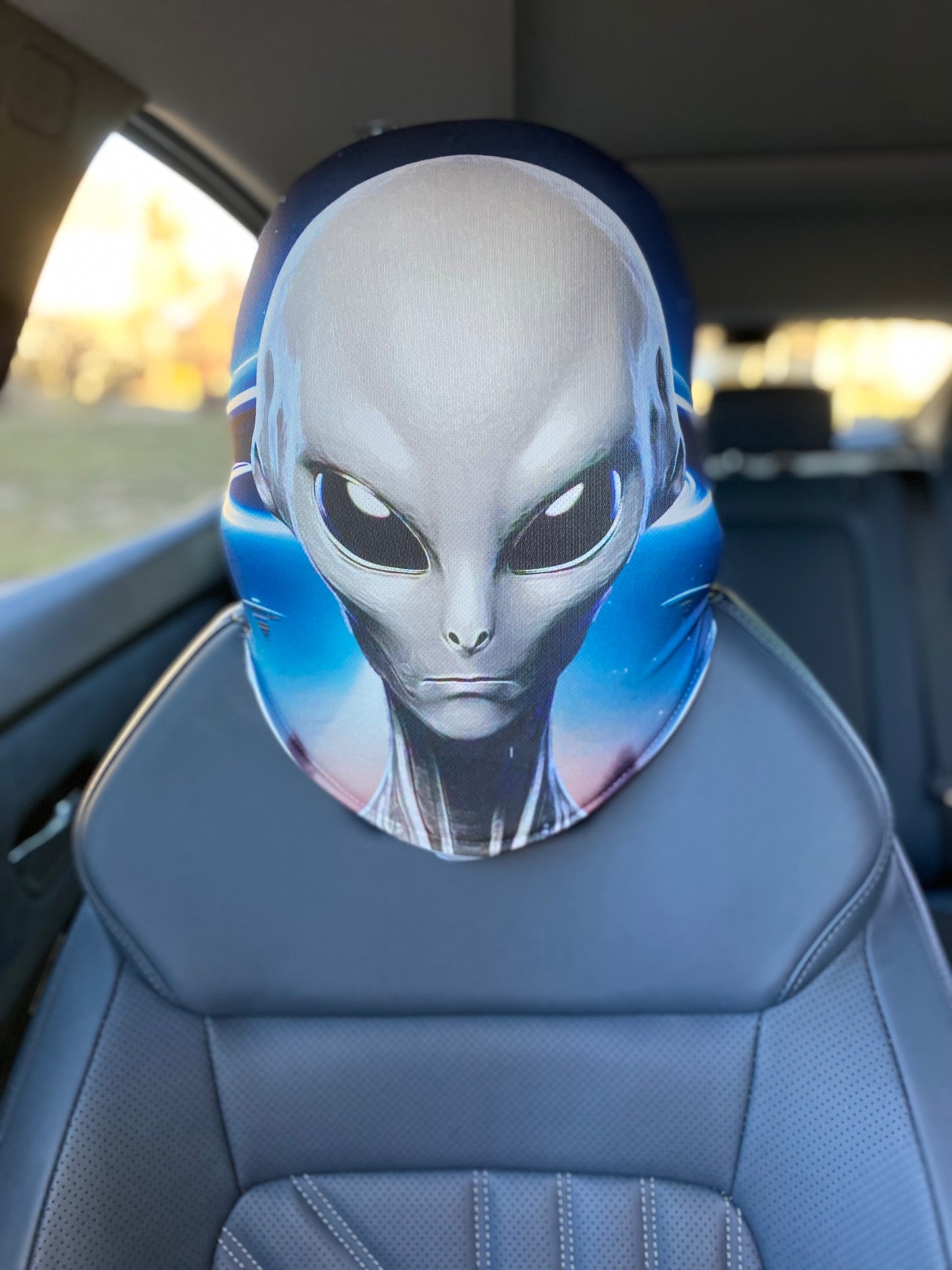 Galactic Visitor – Alien Car Headrest Cover by HeadzRest
