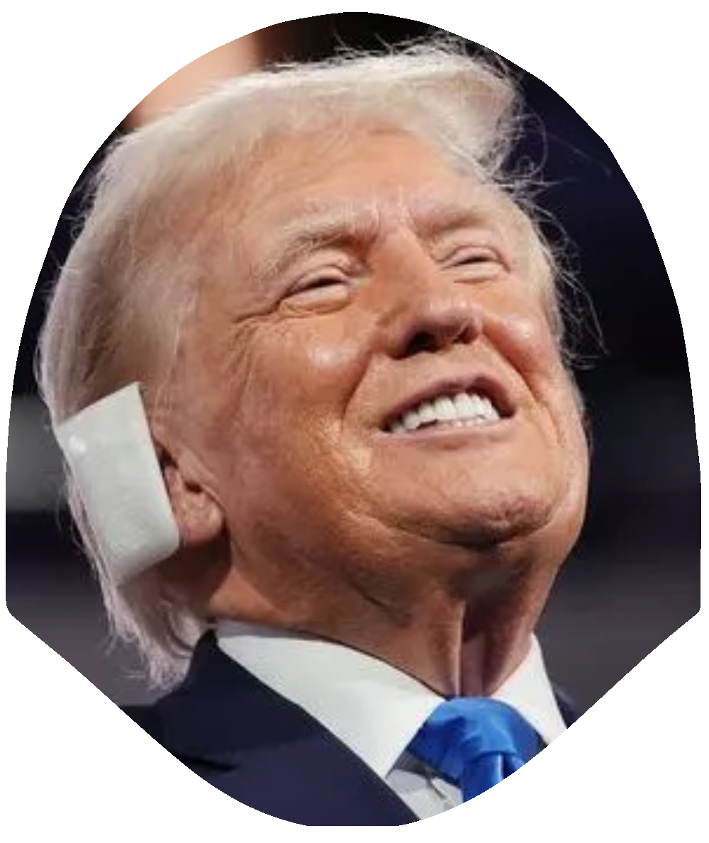 Parody - Bandaged Boss – Trump Headrest Cover by HeadzRest